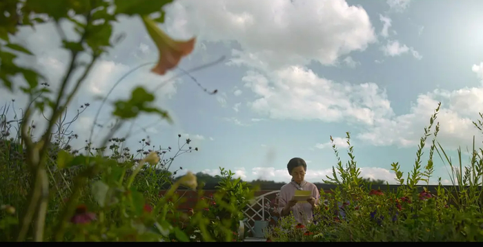 来源：豆瓣电影