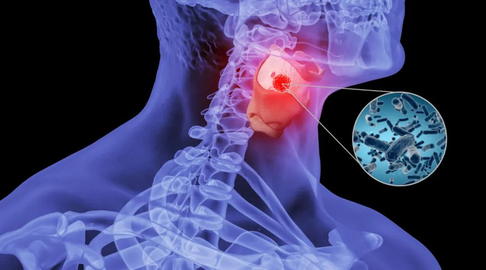 图片来源：摄图网ID401864309