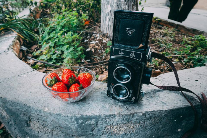 图片源于网络  图文无关  