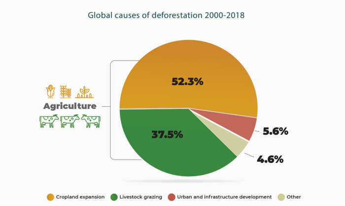 图片来源：联合国粮农组织（FAO）