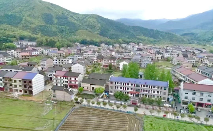 ▲茶陵县严塘镇