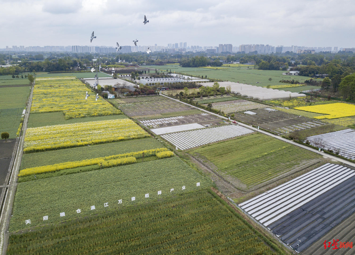 ▲“川农牛科创农庄”