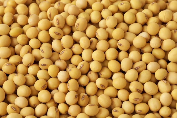 资料图 图片来源：视觉中国