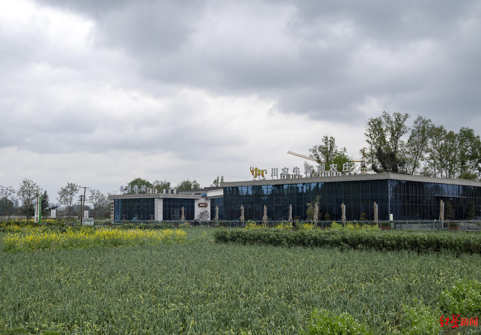 ▲“川农牛科创农庄”