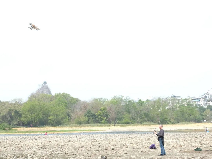 春光里，沉浸在山清水秀的背景里放风筝不失为一大美事。