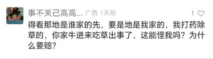 （图片来源：视频评论截图）