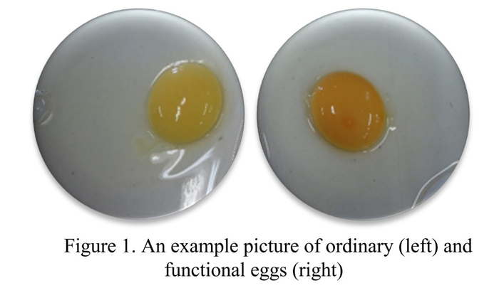 图片来源：网络