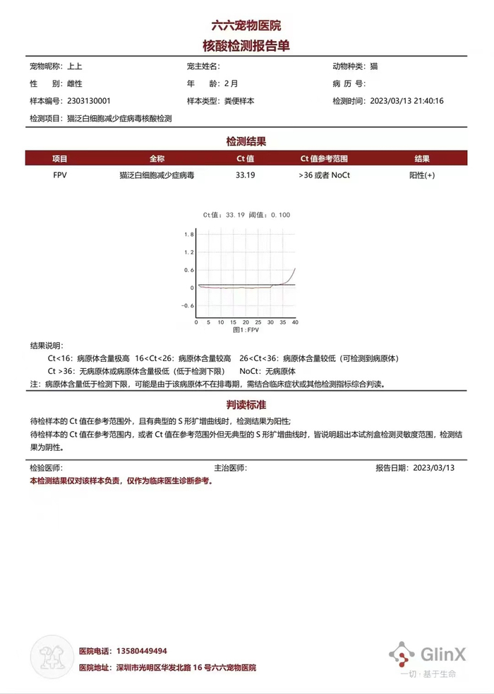 猫咪体检报告