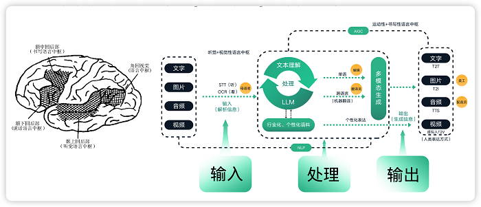 　　产品化语言中枢结构