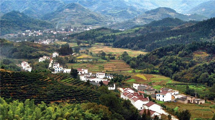 安徽省庐江县大力推进美丽乡村建设，随着对农村人居环境的整治提升，村里的环境得到了极大改善。图为汤池镇全景