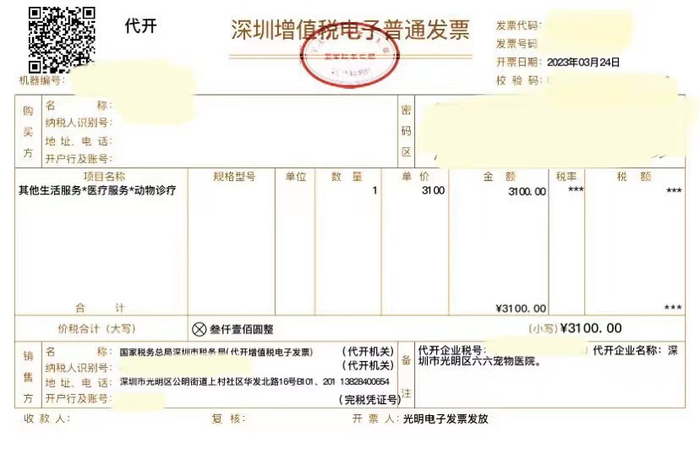 猫咪治疗费用发票