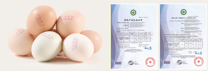 图片来源：彩虹星球合作社旗舰店