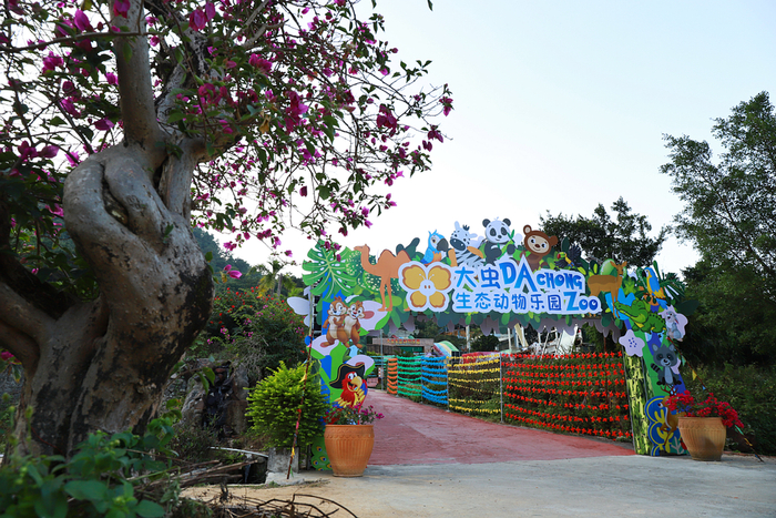 △ 大虫生态动物乐园占地面积约100亩，放养着羊驼、浣熊、蓝孔雀等动物，是肇庆首家亲子萌宠动物园。高祖明 摄