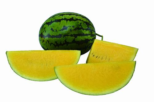 中国农科院郑州果树研究所供图