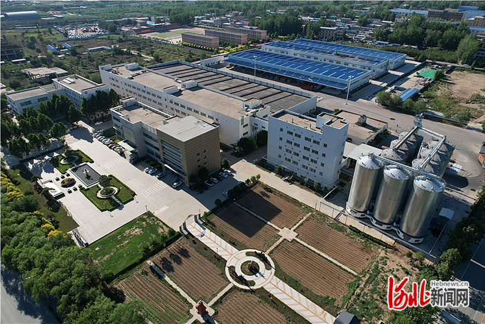 位于定兴休闲食品小镇的河北西麦食品有限公司俯瞰图。 河北日报通讯员郝建利摄