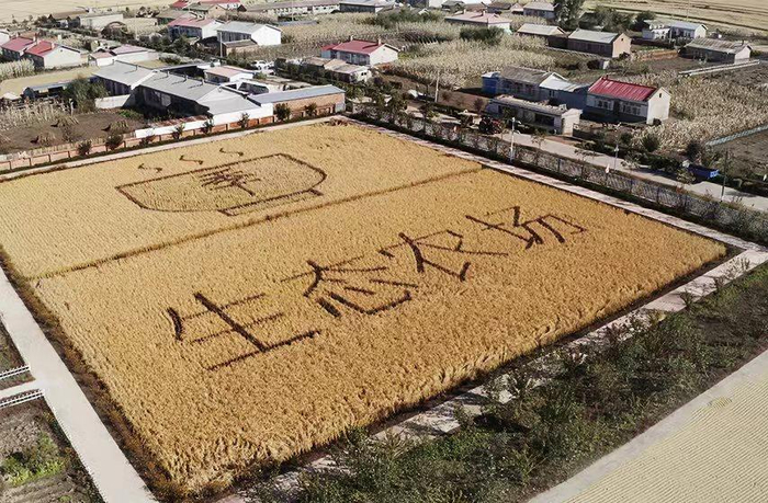 　　图：全季生态农场
