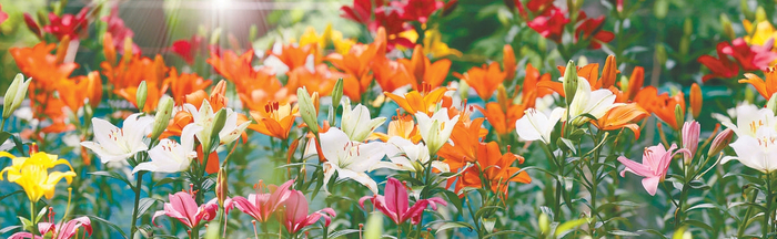 　　本版部分供图：视觉中国、IC photo