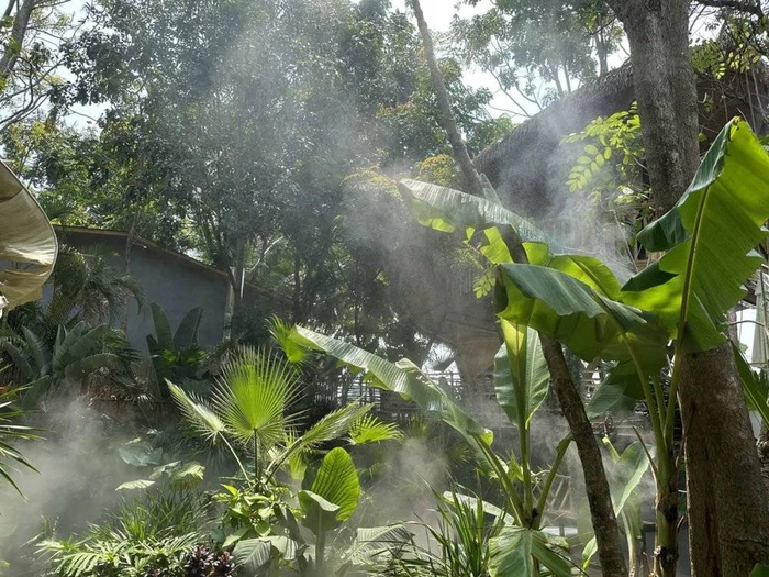 △ 西双版纳生态资源 图源：受访者供图