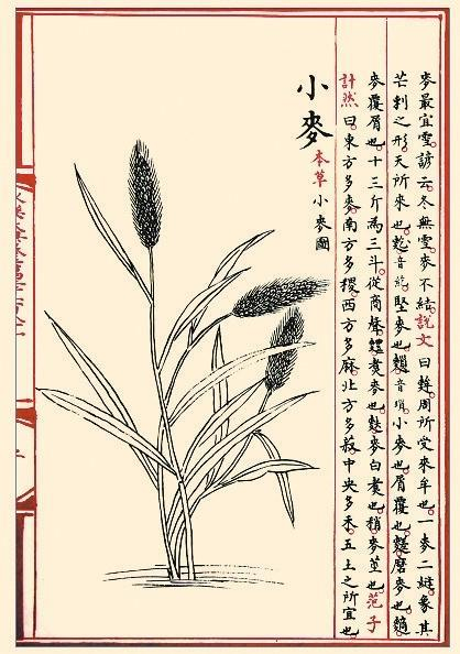 《永乐大典》内页插图