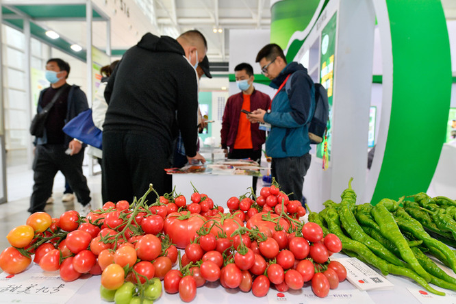 　　这是第十四届中国国际种业博览会暨第十九届全国种子信息交流与产品交易会的现场。新华社记者　孙凡越　摄