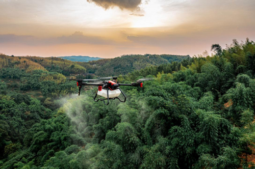 　　极飞农业无人飞机为四川受灾竹林施药