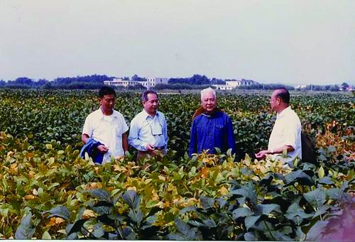 马育华（右二）与刘大钧院士（左二）、盖钧镒院士（右一）在大豆试验田里。