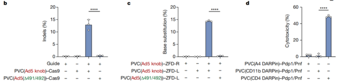 改造后的PVC系统可以靶向递送多种效应元件