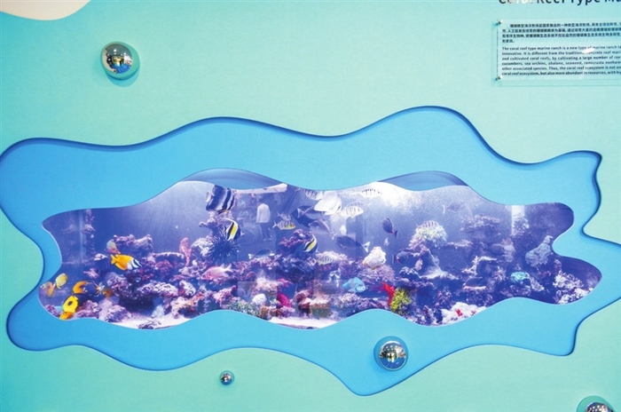 珊瑚礁型海洋牧场。三亚日报特派记者 刘琪成 摄