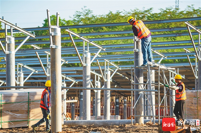 博鳌零碳示范区岛外农光互补光伏发电项目施工现场。蒙钟德 摄