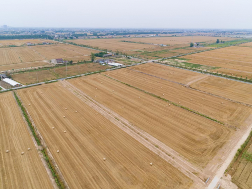 　　在极飞智慧农业解决方案守护下，江苏银宝高新公司农场喜迎小麦丰收