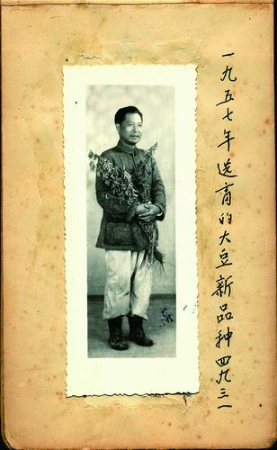 马育华手持1957年选育的大豆新品种。