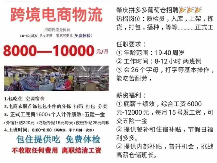图/SHEIN招工信息（左）Temu招工信息（右），来源/人力中介提供