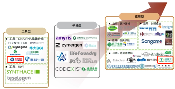 　　图片来源：中金公司研报