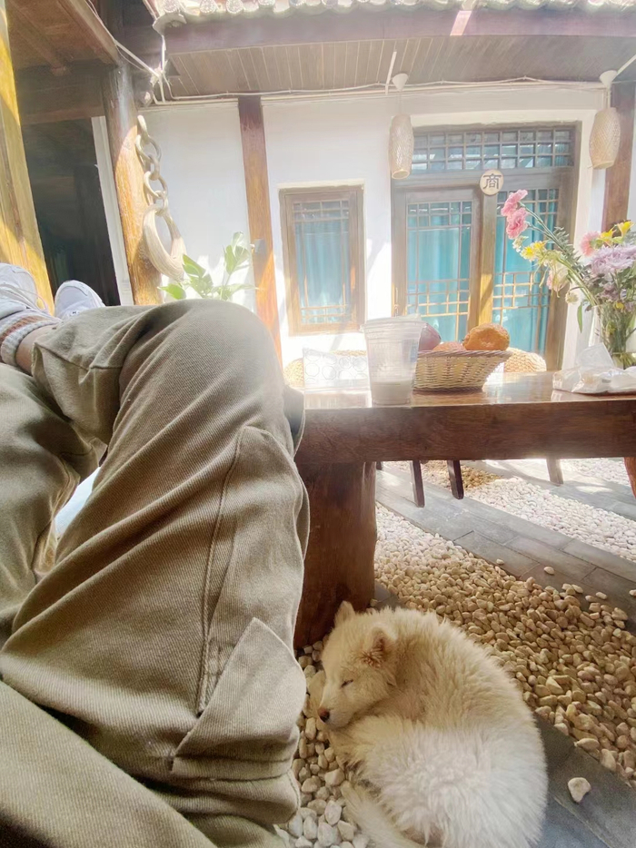 小敖和岁岁 图片由受访者提供