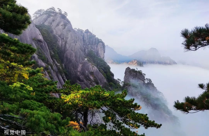 图片来源：视觉中国