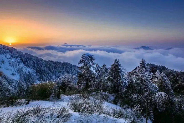 神农顶。神农架融媒体中心 姜芮 摄