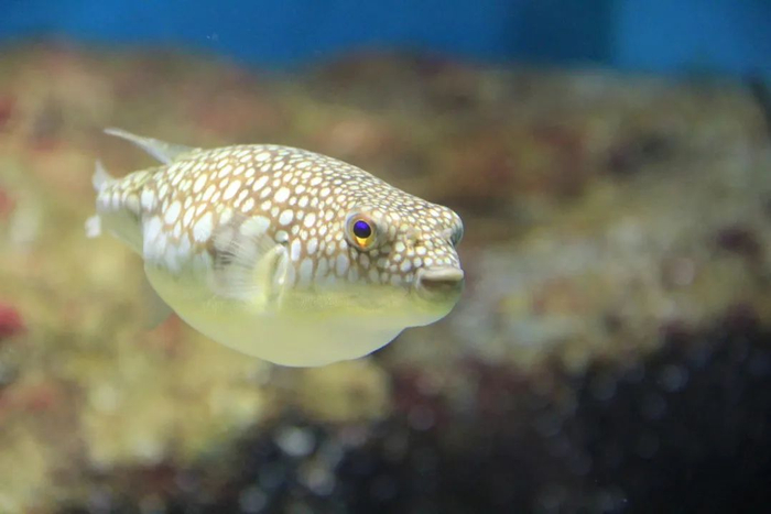 图片来源：图虫创意