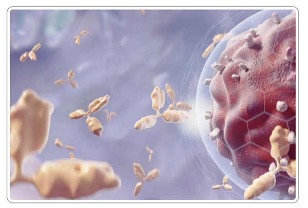 　　图片来源:摄图网