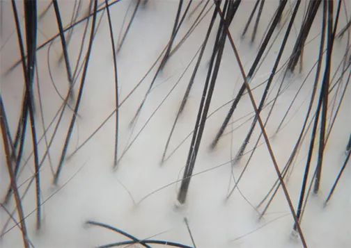 图片来源：图虫创意