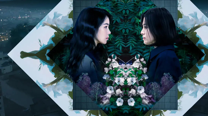 来源：豆瓣电影