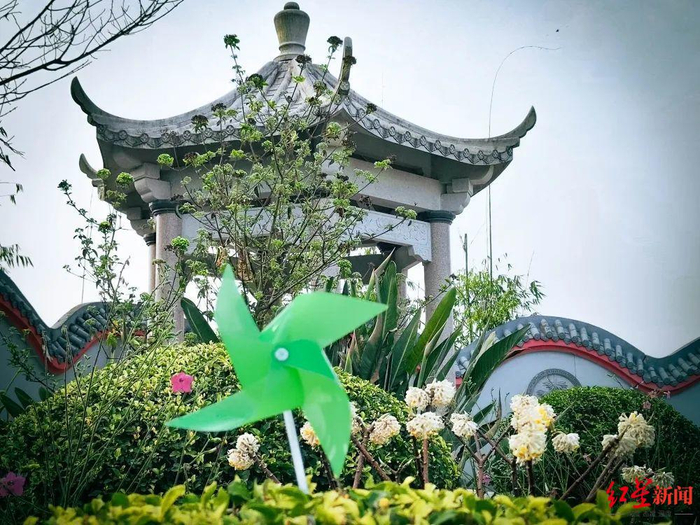 ↑莲花公墓一角
