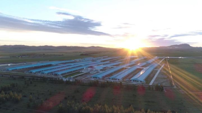 　　图说：简爱父爱牧场自然条件优渥