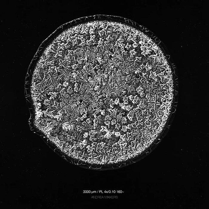     切洋葱时流下的眼泪