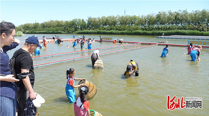 游客下水搬罾捕鱼，体验渤海古老的捕鱼乐趣。（资料图片）