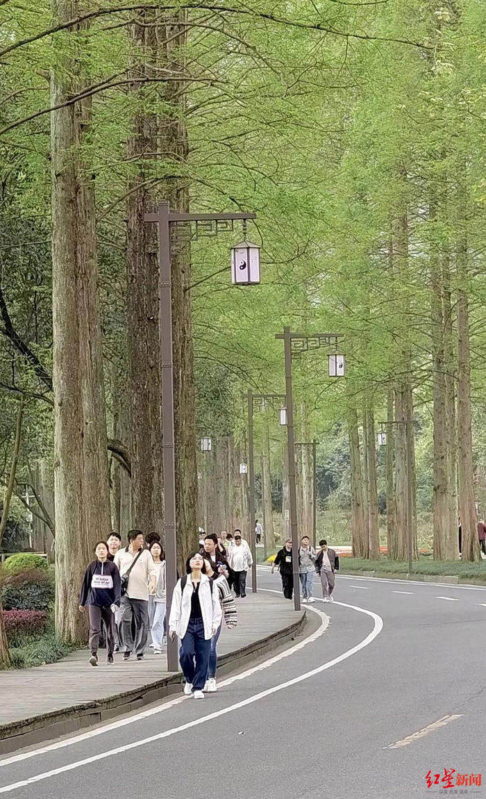 ▲下山的游客，其中很多是年轻人