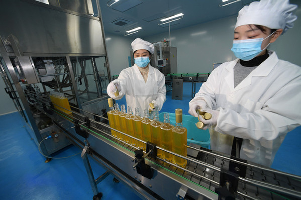 在贵州玉屏侗族自治县油茶基地的油茶加工企业，工人在生产车间制油。新华社记者　杨楹　摄