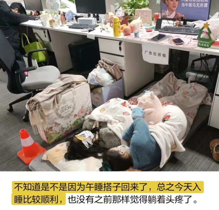 午睡搭子。图/@洋洋子爱摸鱼