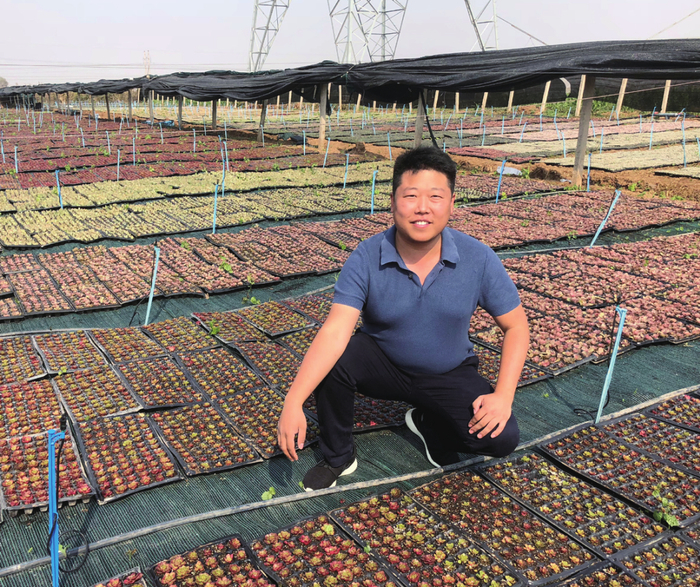 王宇在多肉植物种植基地