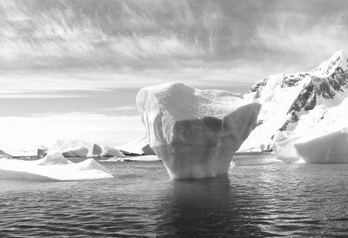 图片来源：pixabay