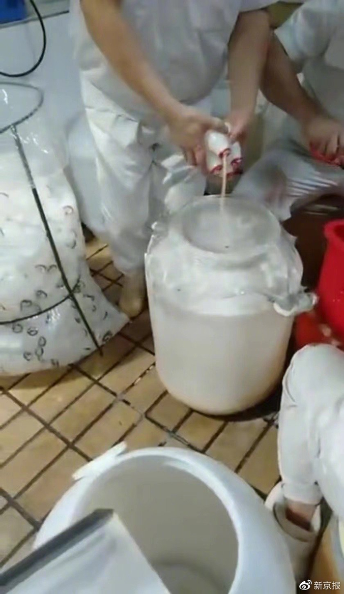 图片来源：新京报视频截图